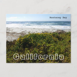 Monterey Bay Vykort