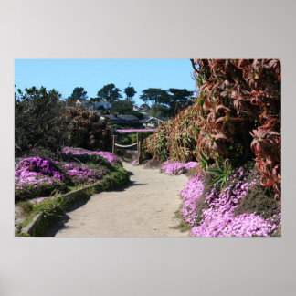 Monterey Beach trail, Vår Photo Poster