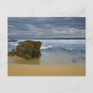 Monterey Beach Vykort