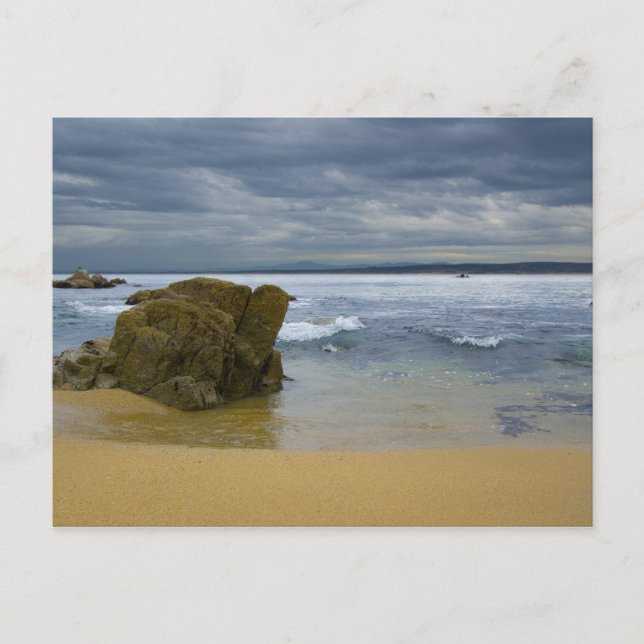 Monterey Beach Vykort (Framsida)