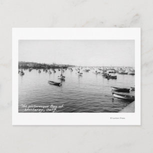 Monterey, CA - Bay with Hundratals Wooden Boats Vykort