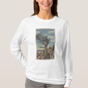 Monterey CA - gammalt häxaträd på 17 Mile T-shirt
