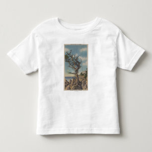 Monterey CA - gammalt häxaträd på 17 Mile T Shirt