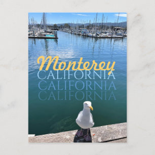 Monterey California Postcard Fiskmås och Sailcraft Vykort