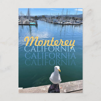 Monterey California Postcard Fiskmås och Sailcraft Vykort
