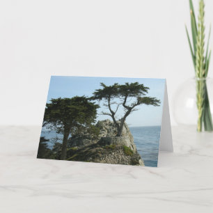 Monterey Cypress hälsningkort Kort