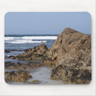 Monterey fjärd Mousepad Musmatta