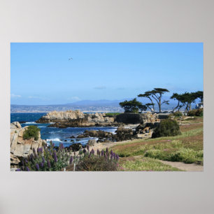 Monterey fjärdkusten, vårfoto poster