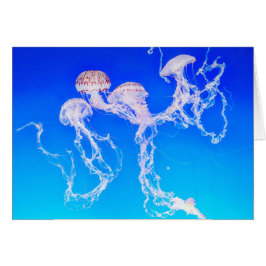 Monterey Jellyfish Greeting Card Hälsningskort