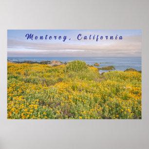 Monterey Vår Poster