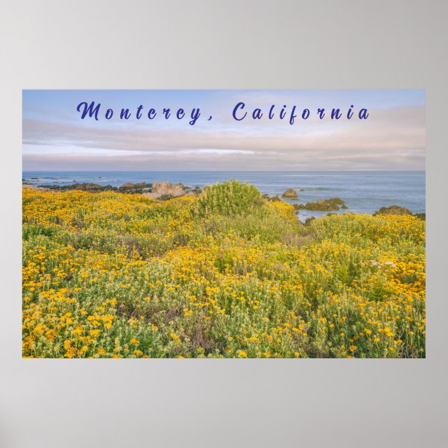 Monterey Vår Poster (Framsidan)
