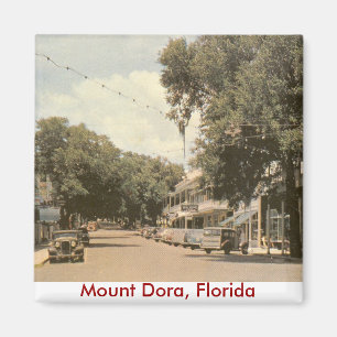 Montering Dora, Florida Magnet
