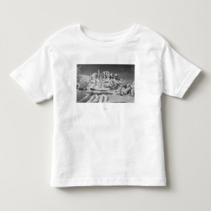 Montering Hamilton, Kalifornien aningobservatorium Tee Shirt