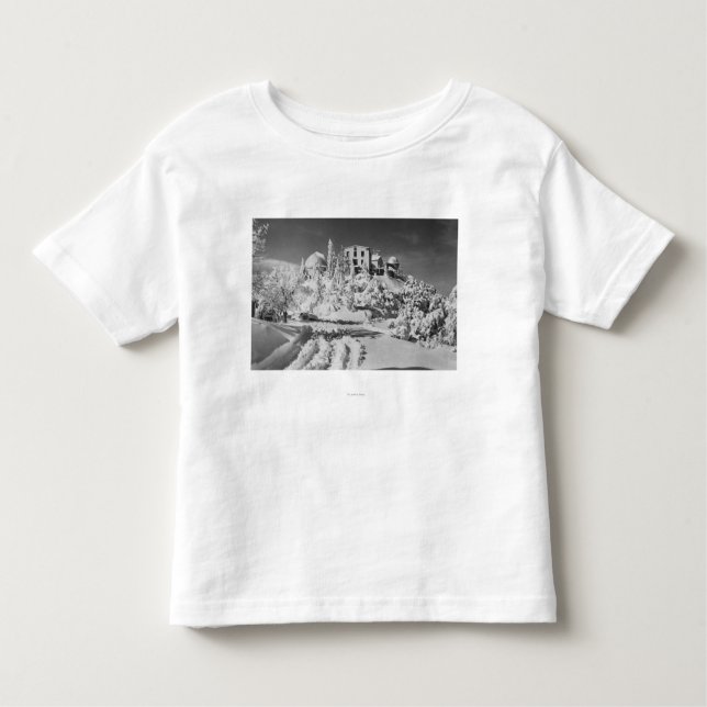 Montering Hamilton, Kalifornien aningobservatorium Tee Shirt (Framsida)