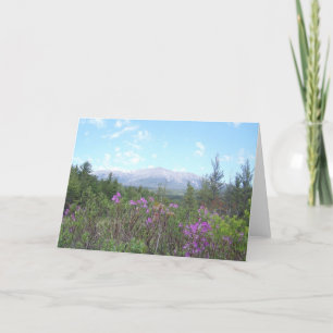 Montering Katahdin och vildblommar Kort