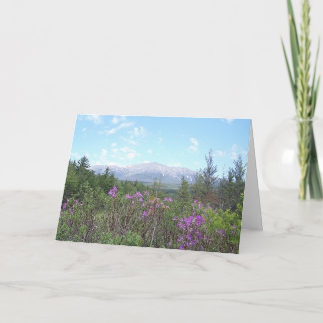 Montering Katahdin och vildblommar Kort (Framsida)