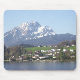 Montering Pilatus Schweitz Musmatta