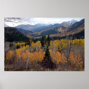 Montering Timpanogos, Utah Poster