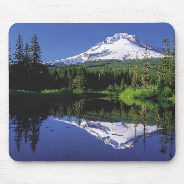 Monteringshuva, Oregon Musmatta (Framsidan)