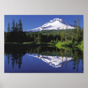 Monteringshuva, Oregon Poster