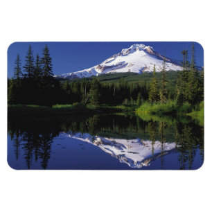 Monteringshuvamagnet Magnet