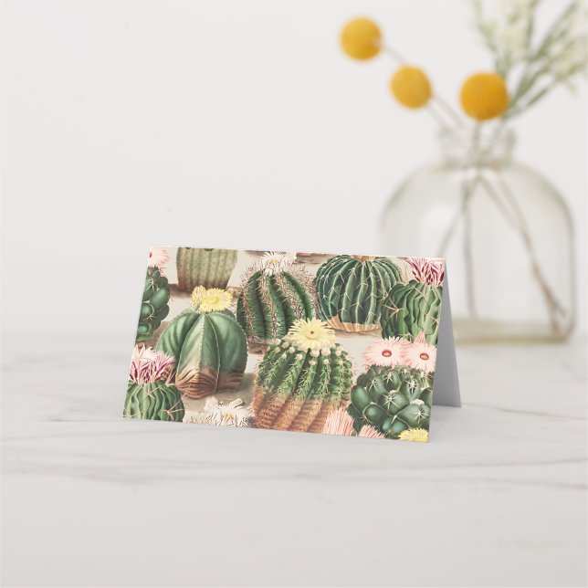 Monteringskort för cactus Illustration Placeringskort (Framsida)