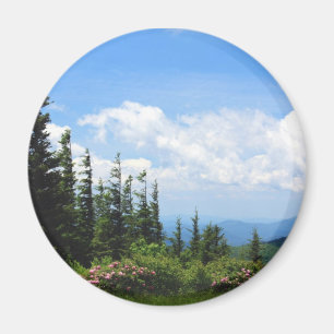 MonteringsMitchell delstatspark Magnet