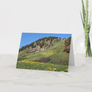 MonteringsOtis Havre, Montana Kort