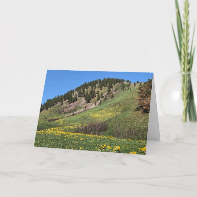 MonteringsOtis Havre, Montana Kort (Framsida)