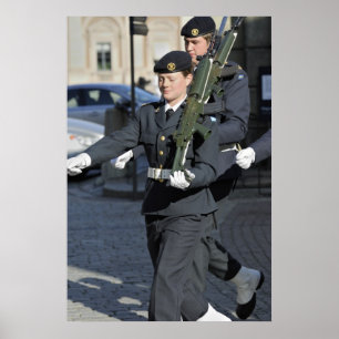 Monteringsskydd Poster