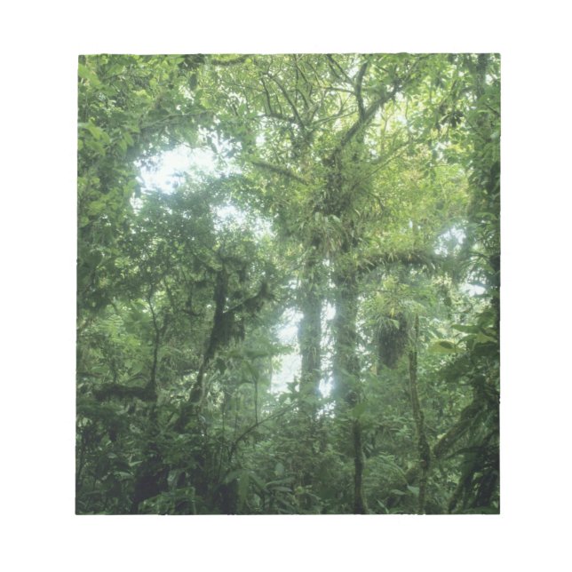 Monteverde Cloud Forest, Costa Rica Anteckningsblock (Framsida)