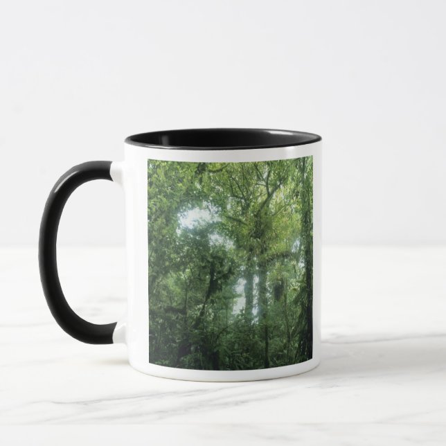 Monteverde molnskog, Costa Rica. Mugg (Vänster)