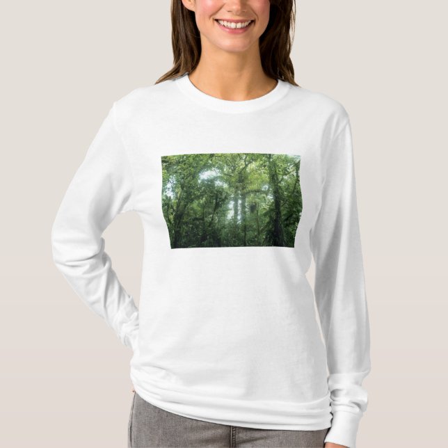 Monteverde molnskog, Costa Rica. Tee (Framsida)