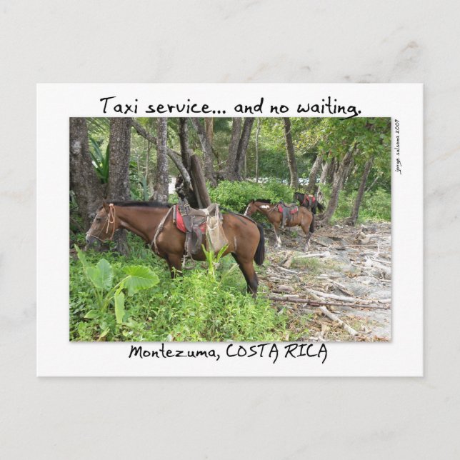 Montezuma, Costa Rica Vykort (Framsida)