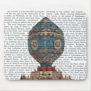 Montgolfier Aerostatique Luftballong Musmatta