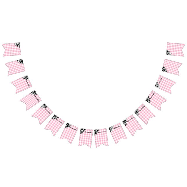 Monthly Milestone Banner for First Birthday Vimplar (Alla)