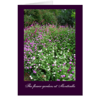 Monticello Blomsterträdgårds Hälsningskort