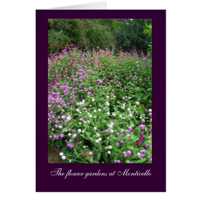 Monticello Blomsterträdgårds Hälsningskort (Framsidan)