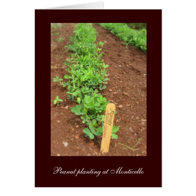 Monticellos köksträdgårdar hälsningskort (Framsidan)