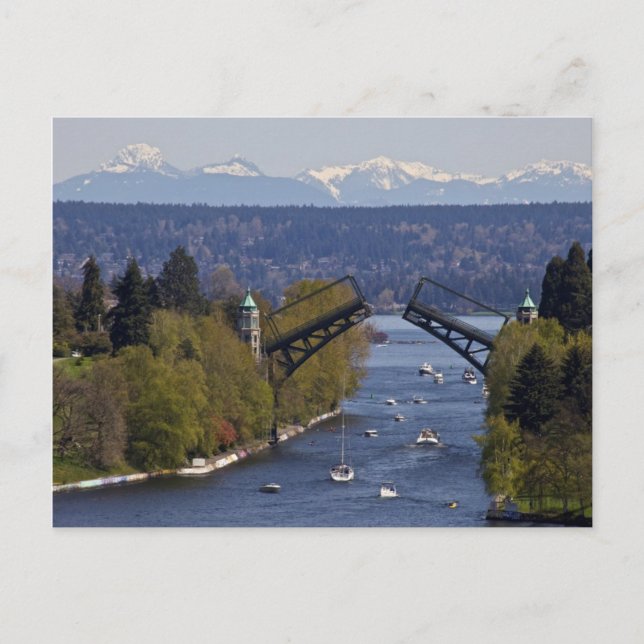 Montlake Bridge och Cascade Mountains Vykort (Framsida)