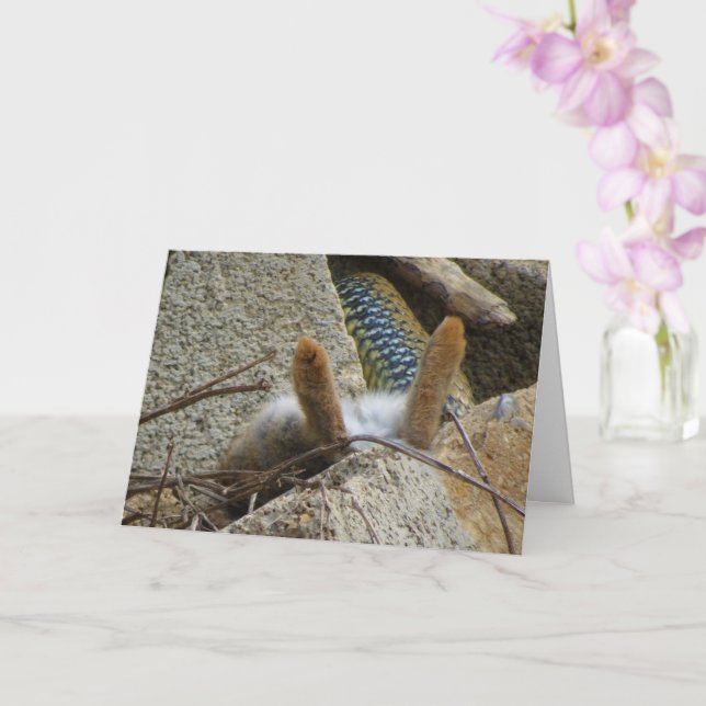 Montpellier Snake and Rabbit Card Kort (Orkide)