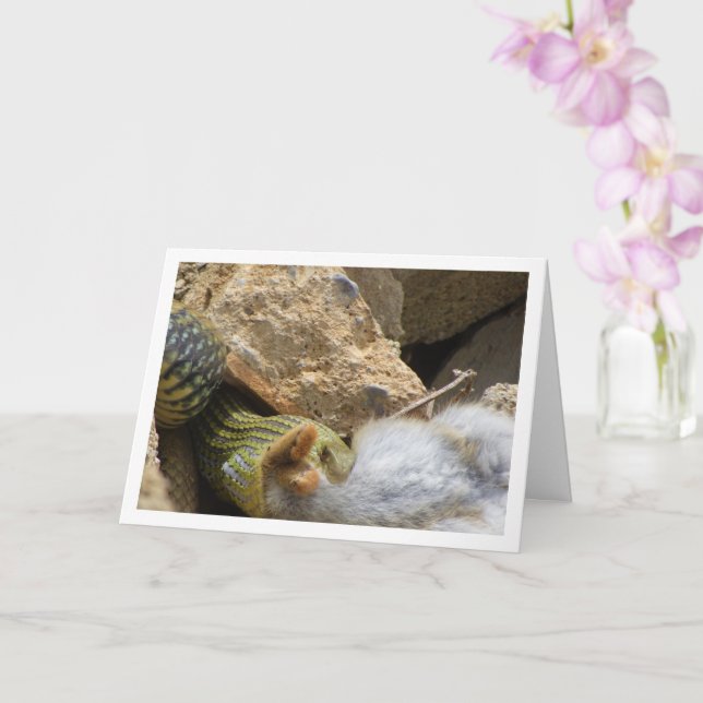 Montpellier Snake Feasting på kaninkort Kort (Orkide)