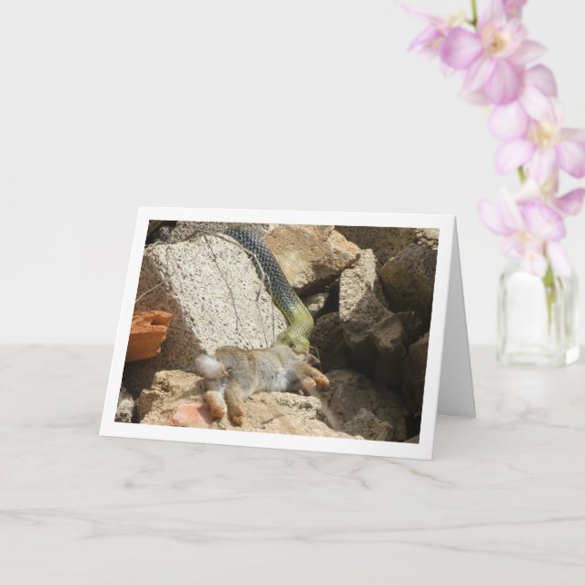 Montpellier Snake Feasting på kaninkort Kort (Orkide)