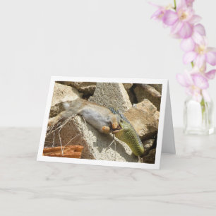 Montpellier Snake Feasting på kaninkort Kort