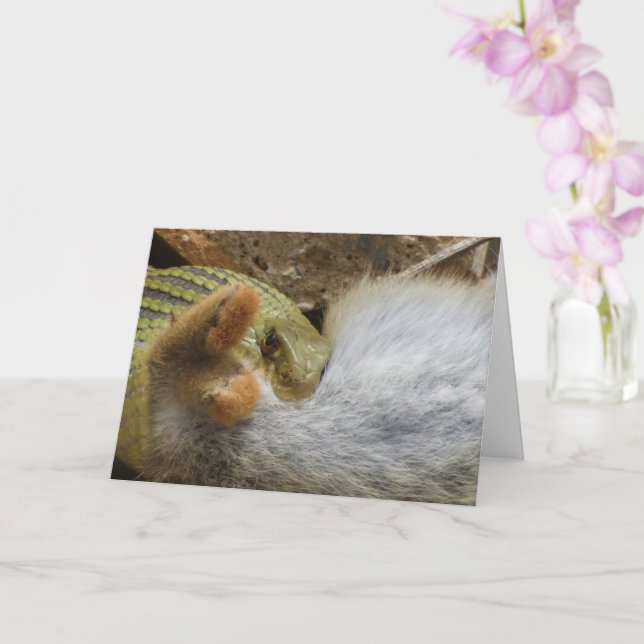 Montpellier Snake Feasting på kaninkort Kort (Orkide)