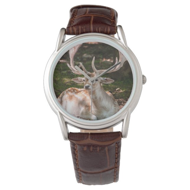 montre photo cerf sous les bois armbandsur (Framsida)