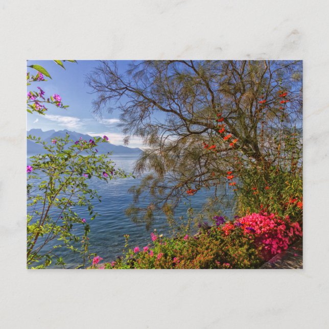 Montreux lakeshore, Schweiz Vykort (Framsida)