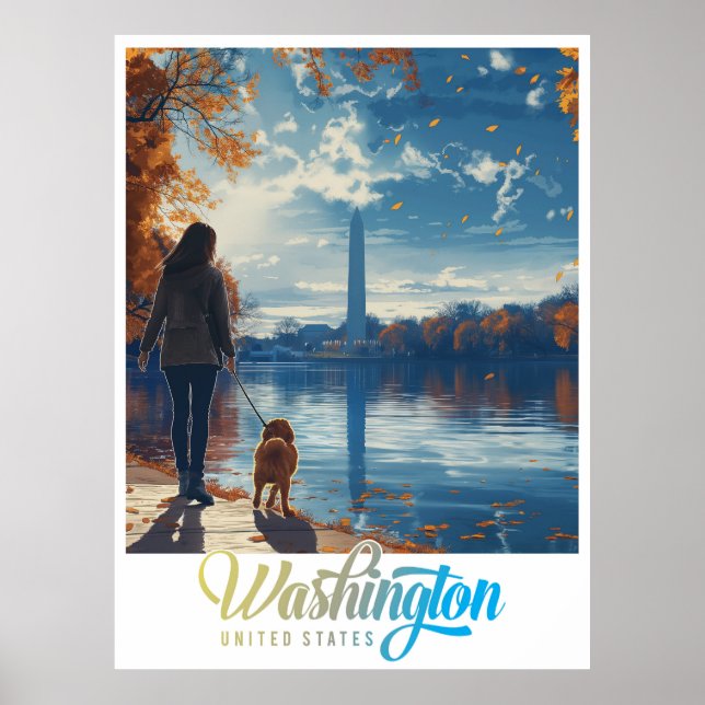 Monument och historia: Washington DC Poster (Framsidan)