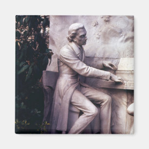 Monument till Frederic Chopin Magnet