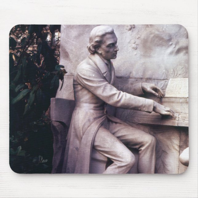 Monument till Frederic Chopin Musmatta (Framsidan)